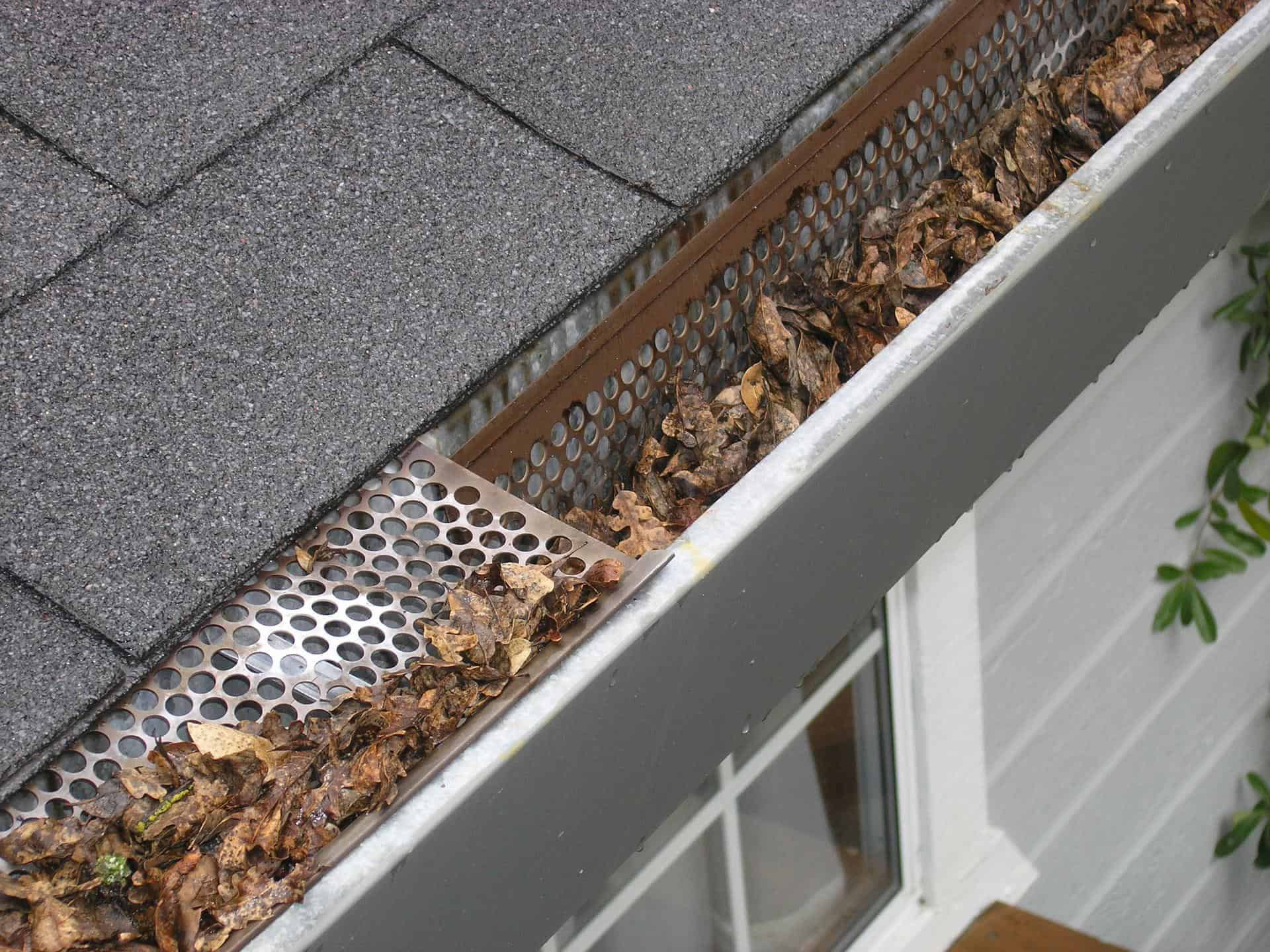 Gutter Guard Image